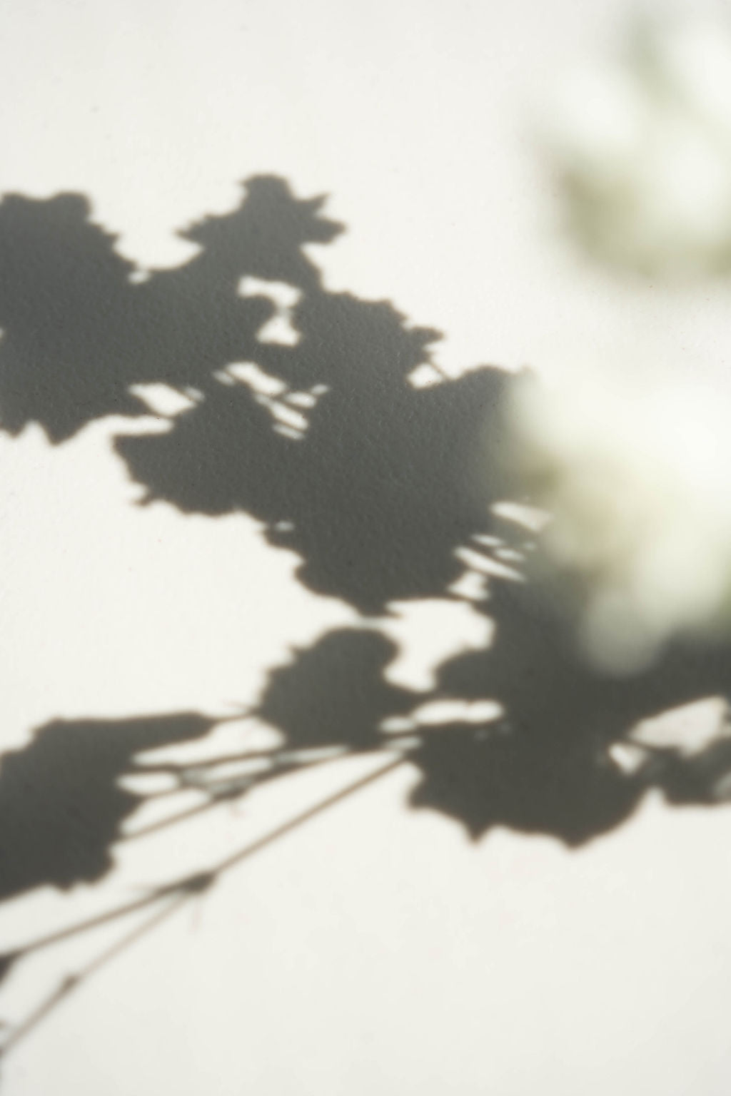 IR - Inzulinrezisztencia