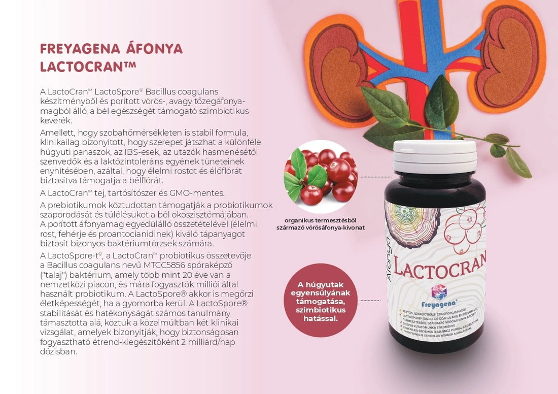 Freyagena áfonya probiotikum kismamáknak