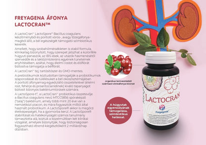 Freyagena áfonya probiotikum kismamáknak