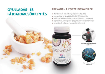 ayurvédikus gyógyászat