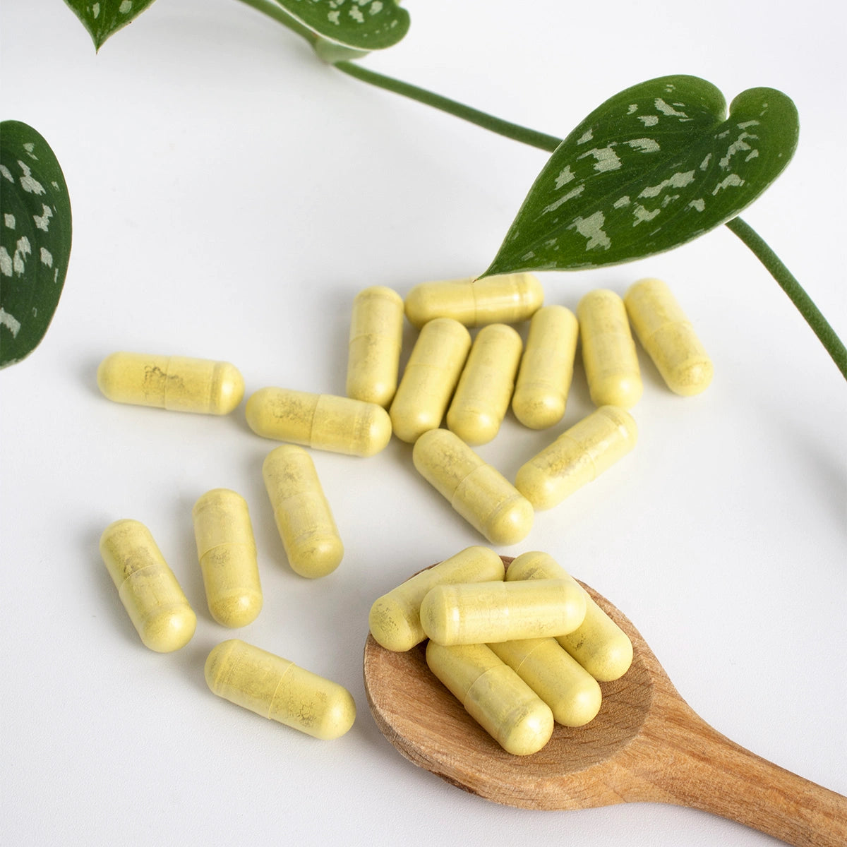 ZeroHistamine antioxidáns kapszula érzékeny gyomorra várandósan