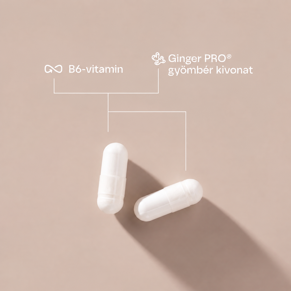 Puura MaMa + MaMa Comfort csomag – várandósvitamin és gyömbér–B6 kapszula együtt