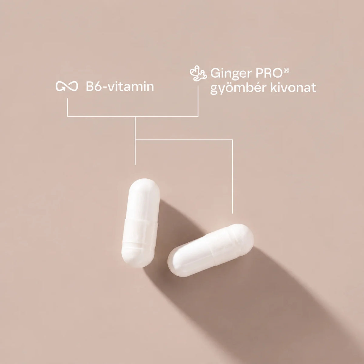 Puura MaMa + MaMa Comfort csomag – várandósvitamin és gyömbér–B6 kapszula együtt