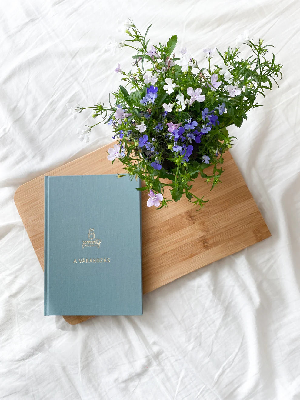 A várakozás lombiknapló meddőségi útra